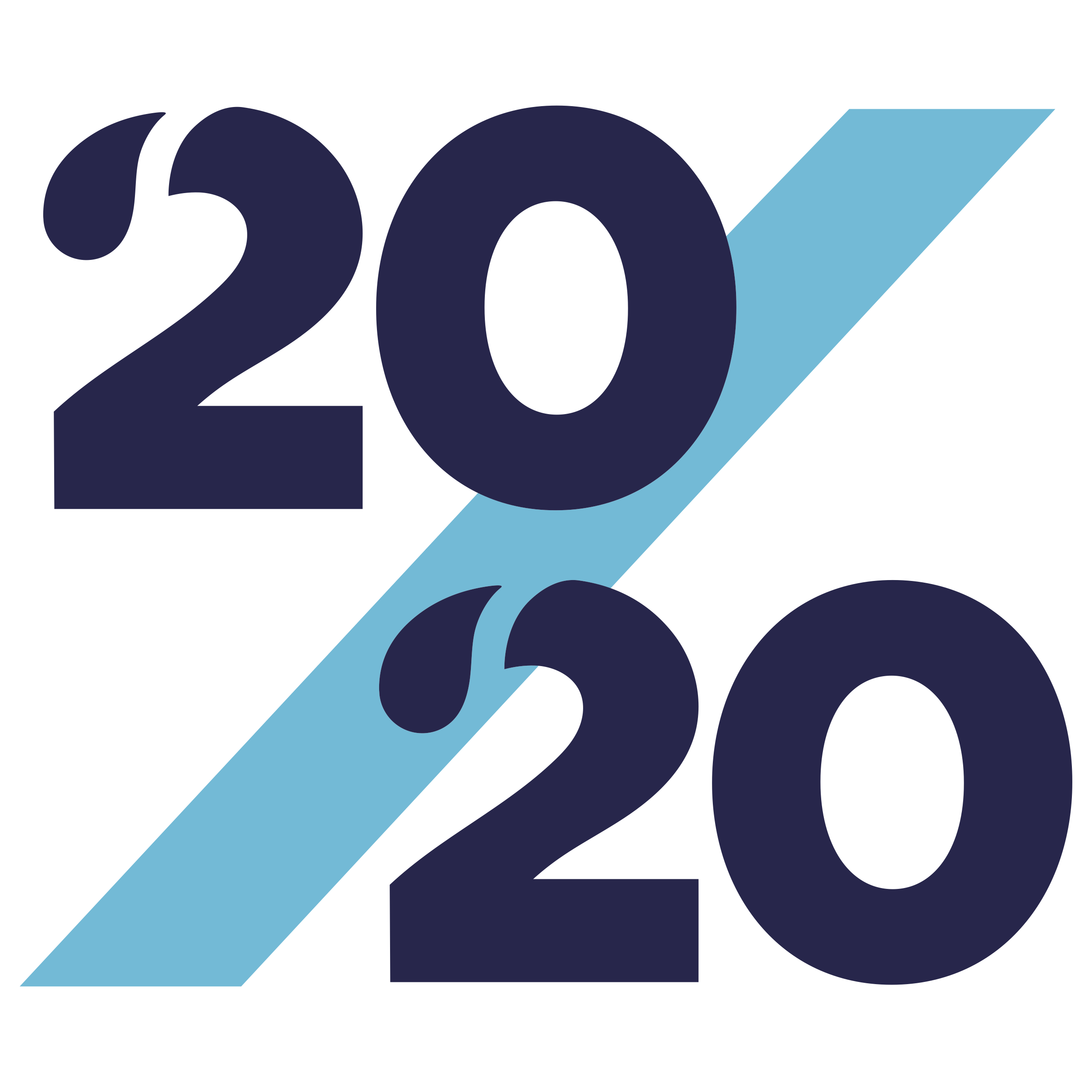 20_20 High Res Color Logo